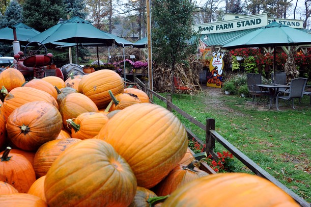 Jenny's Farm Market, located at the corner of Island Lake Road and Dexter-Pinckney Road just outside Dexter on Wednesday. Melanie Maxwell I AnnArbor.com